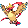 pidgeot-mega 通常