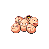 exeggcute 通常