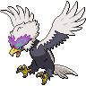 braviary-hisui 通常