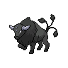 tauros-paldea-combat-breed 通常
