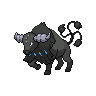 tauros-paldea-aqua-breed 通常