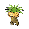 exeggutor 通常