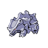 rhyhorn 通常