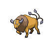 tauros 通常