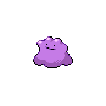 ditto 通常