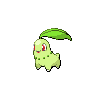 chikorita 通常