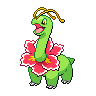 meganium 通常