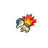 cyndaquil 通常