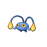 chinchou 通常