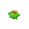 skiploom 通常