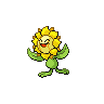 sunflora 通常