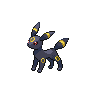 umbreon 通常