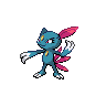 sneasel 通常