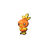 torchic 通常