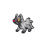 poochyena 通常