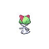 ralts 通常