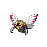 ninjask 通常
