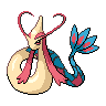 milotic 通常