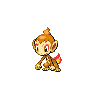 chimchar 通常