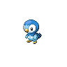 piplup 通常