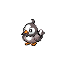 starly 通常