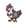 staraptor 通常