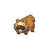 bidoof 通常