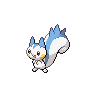 pachirisu 通常