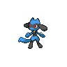 riolu 通常