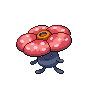 ラフレシア