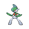 gallade 通常