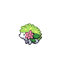 shaymin-land 通常