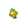 sewaddle 通常