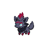 zorua 通常