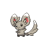 minccino 通常