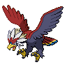 braviary 通常
