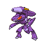 genesect 通常