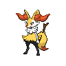 braixen 通常