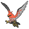 talonflame 通常