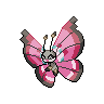 vivillon 通常