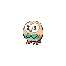 rowlet 通常