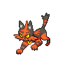 torracat 通常
