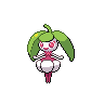 steenee 通常