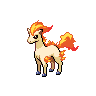 ponyta 通常