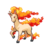 rapidash 通常