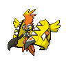 tapu-koko 通常