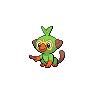 grookey 通常