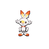 scorbunny 通常