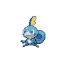 sobble 通常