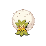 eldegoss 通常